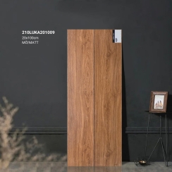 GẠCH GIẢ GỖ 20×100 210LUKA201009
