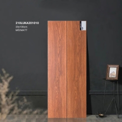 GẠCH GIẢ GỖ 20×100 210LUKA201010