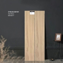 GẠCH GIẢ GỖ 20×100 210LULC20101