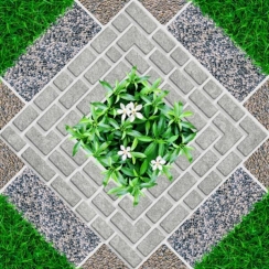 GAHCJ GIẢ CỎ SÂN VƯỜN 50×50 Viglacera 5525