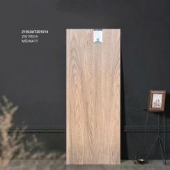 GẠCH GIẢ GỖ 20×100 210LUAT201016