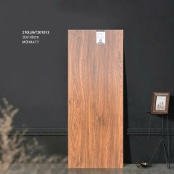 GẠCH GỖ 20×100 210LUAT201013