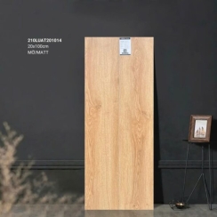 GẠCH VÂN GỖ 20×100 210LUAT201014