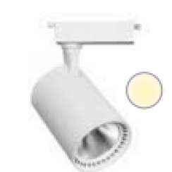 ĐÈN RỌI RAY DO6906-558/20W